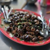 Snails!
