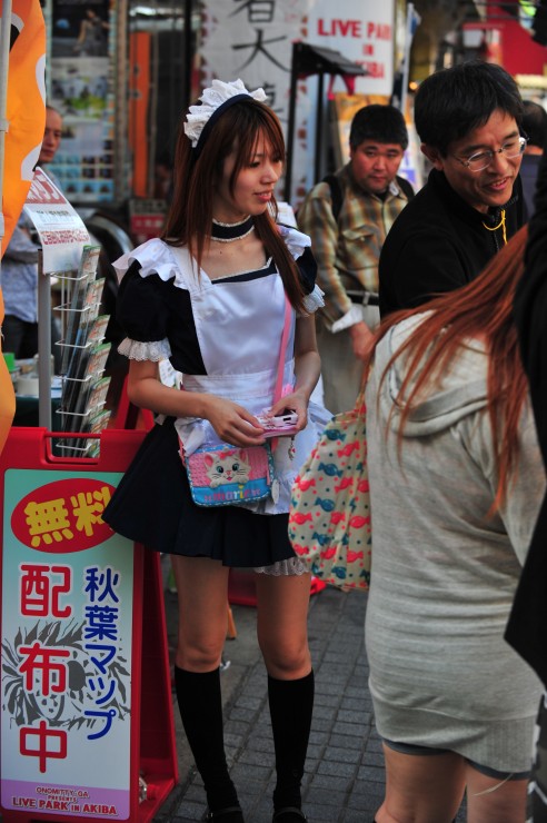 MCM_6039