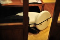 French horn case