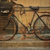mcm_4924