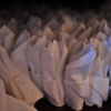 Many napkins