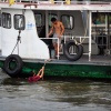 This guy fell out of the boat