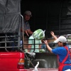 Throwing a bag of cucumbers