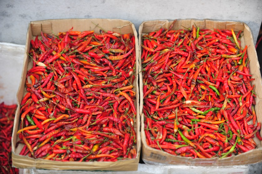 Chiles!