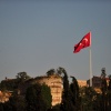 Turkish flag and birds