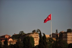 Turkish flag and birds