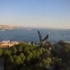A bird flew into this shot