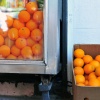 Fake oranges, real oranges