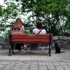 Two women and cat