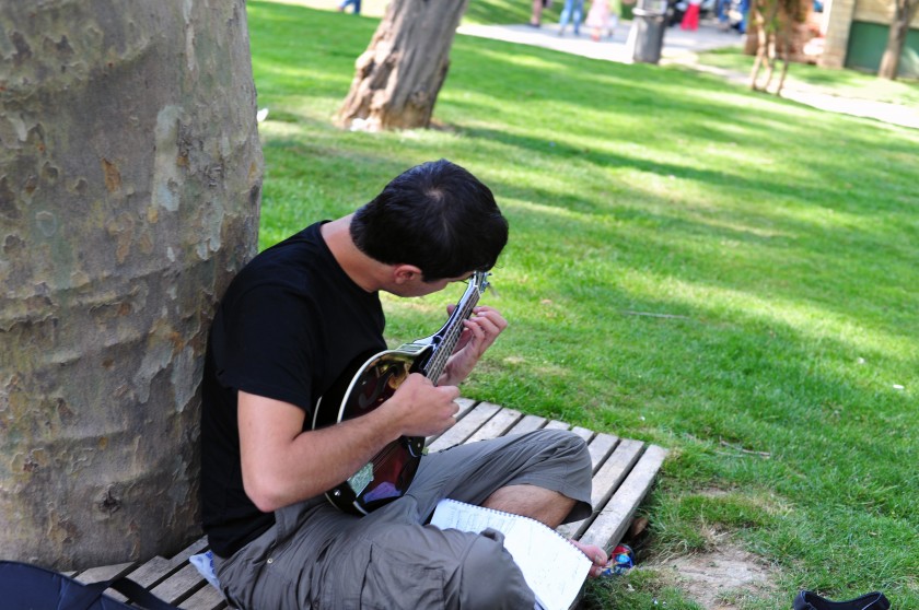 Park minstrel