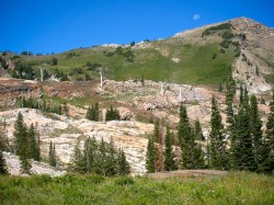 IMG_1245