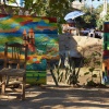 DSC00293
