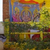 DSC00363