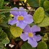 DSC00368