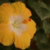 DSC00369